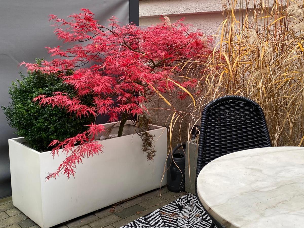 Como Design-Apartment Close To Isar River Area - Centrally Located München Ngoại thất bức ảnh