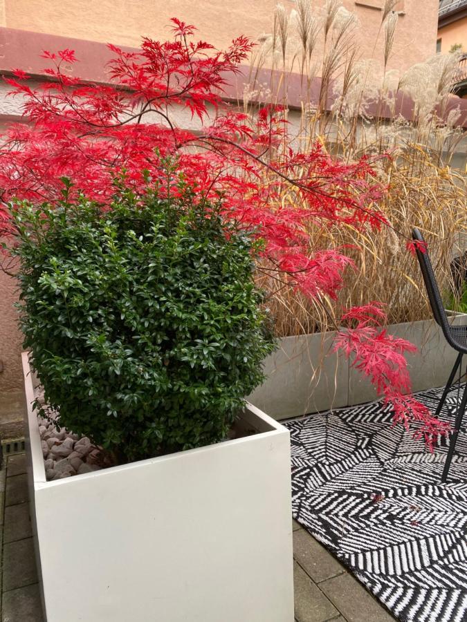Como Design-Apartment Close To Isar River Area - Centrally Located München Ngoại thất bức ảnh